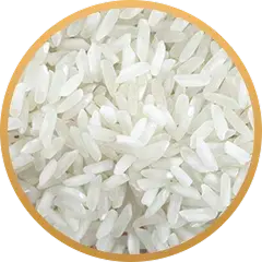 Gạo Trắng